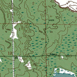 MI-Long Lake East: Authoritative US Topos 1971