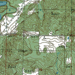 MI-Fife Lake: Authoritative US Topos 1985