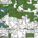 OH-MI-Nettle Lake: Authoritative US Topos 1973