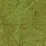 WA-Newaukum Lake: Authoritative US Topos 1987