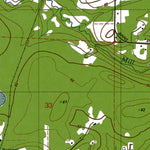 WA-Shelton: Authoritative US Topos 1981