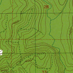 WA-Wynoochee Valley NW: Authoritative US Topos 1990