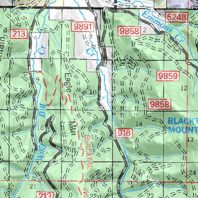 Flathead National Forest North (1 of 2)