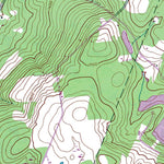 NY-Morris: Authoritative US Topos 1943