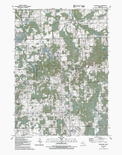 MI-Metamora: Authoritative US Topos 1991