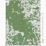 MI-Woodville NE: Authoritative US Topos 1985