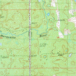 MI-Whipple Lake: Authoritative US Topos 1987