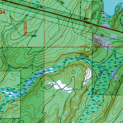MI-Golden Lake: Authoritative US Topos 1999