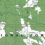 MI-Walkup Lake: Authoritative US Topos 1985