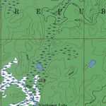 MI-Witch Lake NE: Authoritative US Topos 1955
