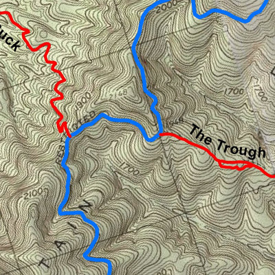 Carvins Cove Trail Map