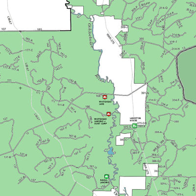 Apalachicola National Forest