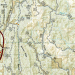 238 Black Hills South [Black Hills National Forest] (north side)