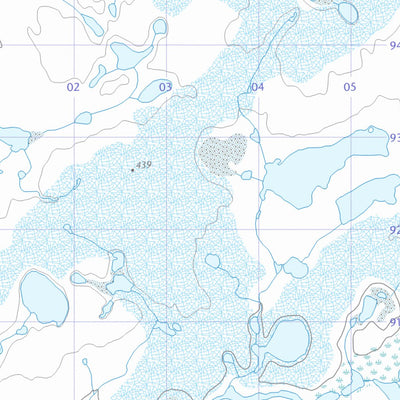 Flyway Lake (037D08 CanTopo)