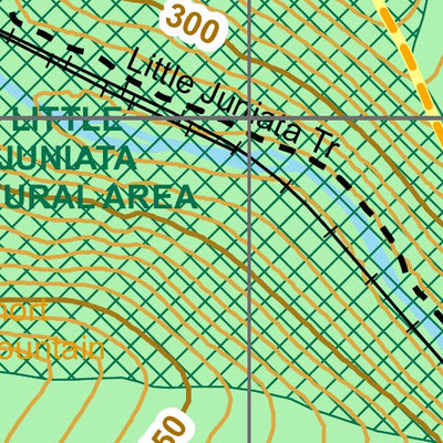Mid State Trail Short Mountain