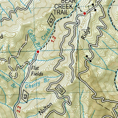 1501 AT Springer Mtn to Davenport Gap (map 10)