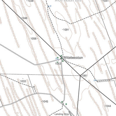 2821BB WILDEBEESTDUIN