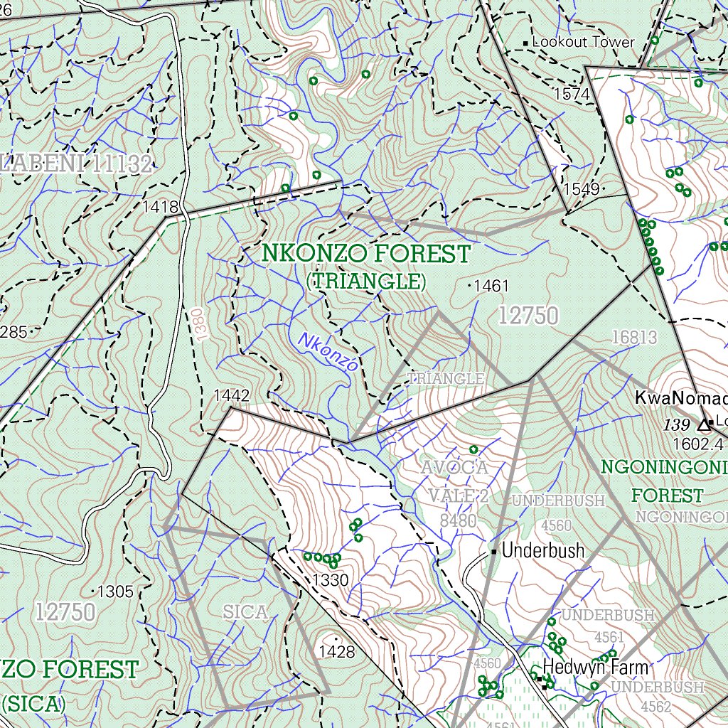 2929DD DONNYBROOK Map by Chief Directorate National Geospatial