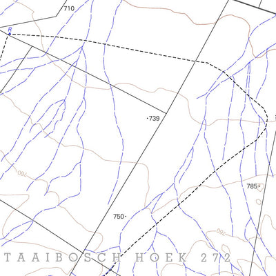 3019CA SPRINGBOKKEEL