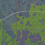 FL-LOWER MYAKKA LAKE: GeoChange 1971-2010