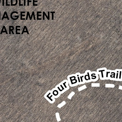 Wildcat Ridge HawkWatch