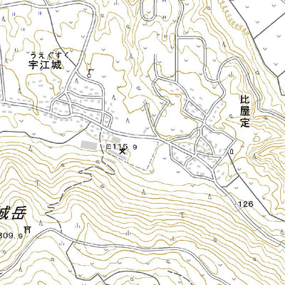 392646 久米島（くめじま Kumejima）, 地形図