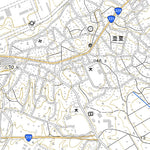 392757 金武（きん Kin）, 地形図