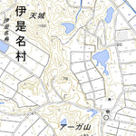 402737 伊是名島（いぜなじま Izenajima）, 地形図