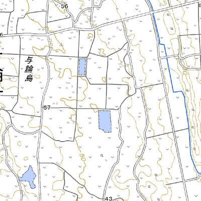 402843 与論島（よろんじま Yoronjima）, 地形図