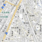 493043 大牟田（おおむた Omuta）, 地形図