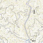 493054 野町（のまち Nomachi）, 地形図