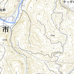 493077 日田（ひた Hita）, 地形図