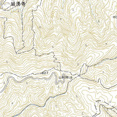 513544 岩湧山（いわわきざん Iwawakizan）, 地形図