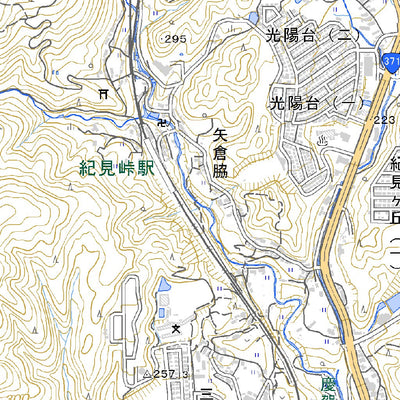 513544 岩湧山（いわわきざん Iwawakizan）, 地形図