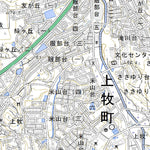 513565 大和高田（やまとたかだ Yamatotakada）, 地形図
