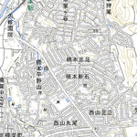 523525 淀（よど Yodo）, 地形図