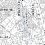 543771 速星（はやほし Hayahoshi）, 地形図