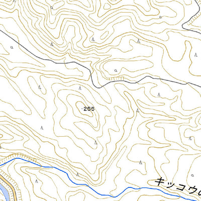 664127 白頭山（はくとうざん Hakutozan）, 地形図