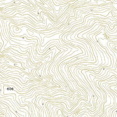 664210 三頭山（さんとうざん Santozan）, 地形図