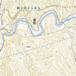 533950 奥多摩湖（おくたまこ Okutamako）, 地形図