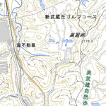 533962 飯能（はんのう Hanno）, 地形図