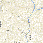 533971 正丸峠（しょうまるとうげ Shomarutoge）, 地形図