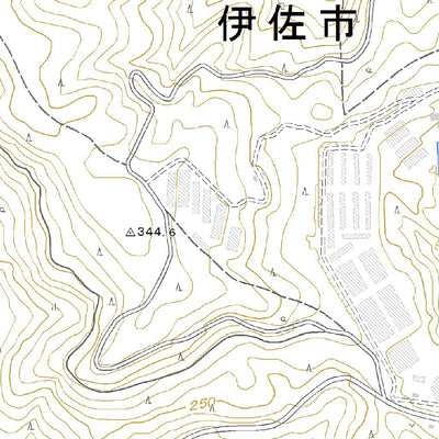 483004 大口（おおくち Okuchi）, 地形図