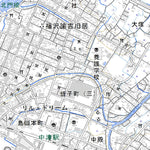 503131 中津（なかつ Nakatsu）, 地形図
