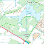 Hawley Common