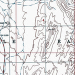 NM-MOCKINGBIRD GAP: Authoritative US Topos 1982