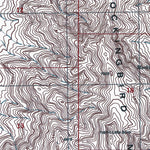 NM-MOCKINGBIRD GAP: Authoritative US Topos 1982