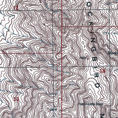 NM-MOCKINGBIRD GAP: Authoritative US Topos 1982