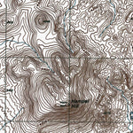 NV-CANE SPRING: Authoritative US Topos 1983