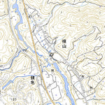 523734 三河大野 （みかわおおの Mikawaono）, 地形図